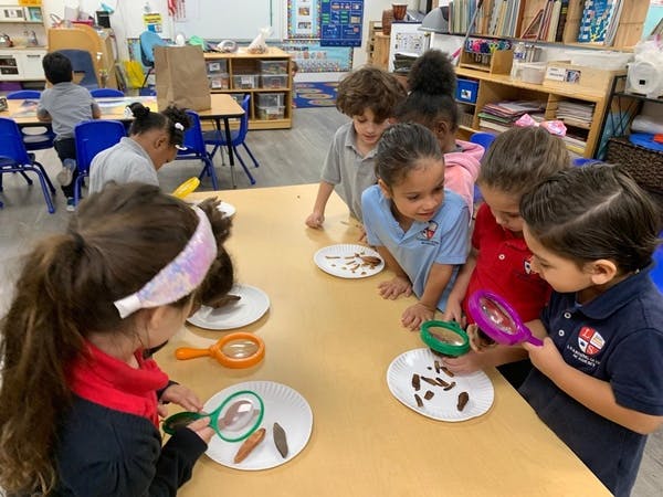 Children examining items on plates with magnifying glasses in a classroom