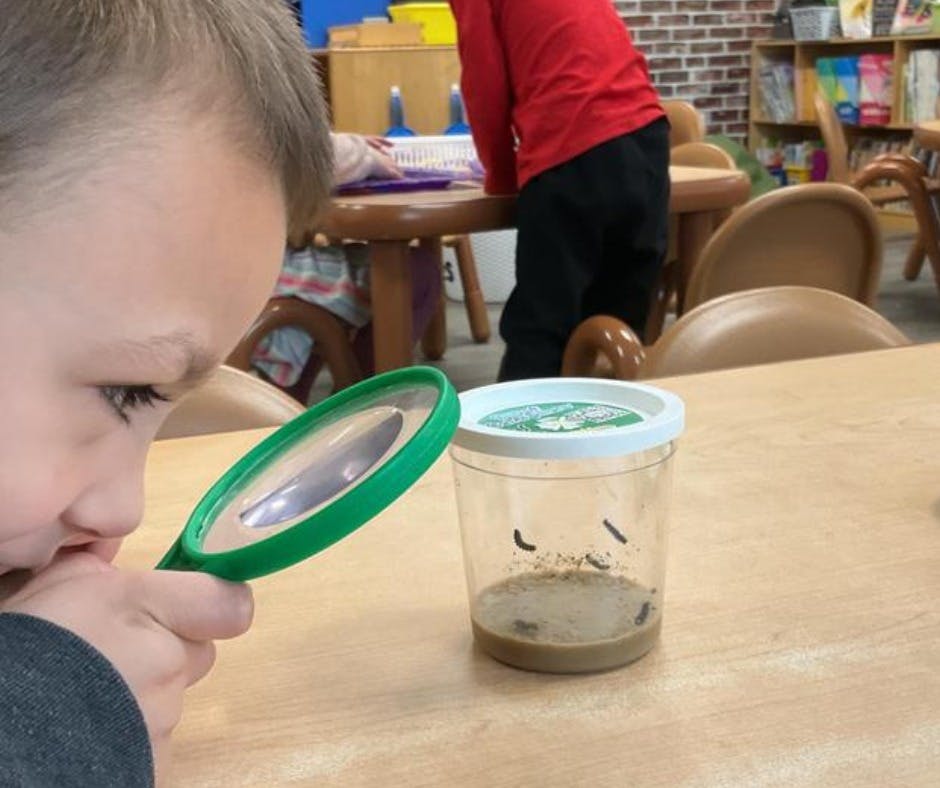 Child looking through a magnifying glass at insects in a container