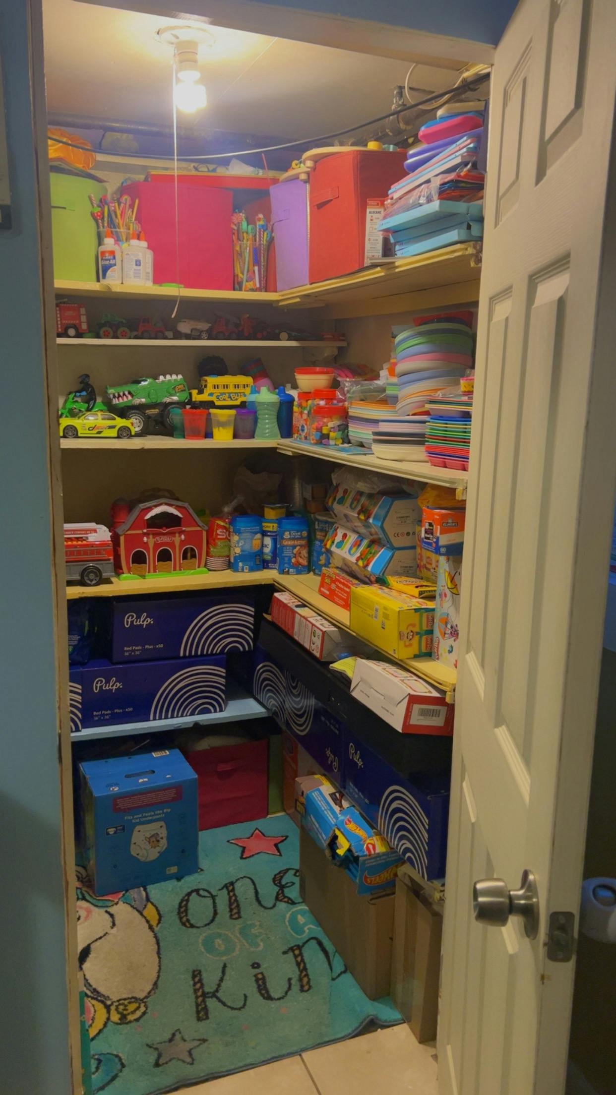 Closet filled with shelves of toys and supplies