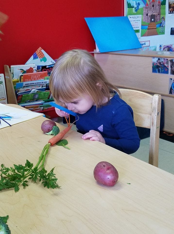 Child looking at a carrot with a magnifying glass