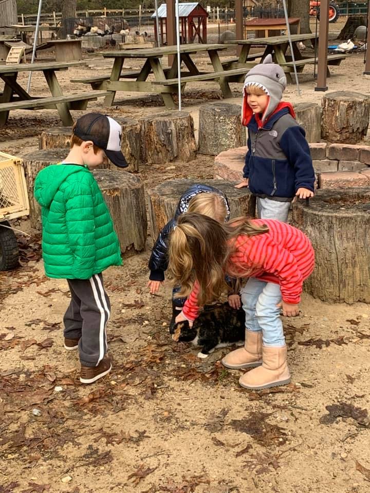 Children playing with a cat outdoors