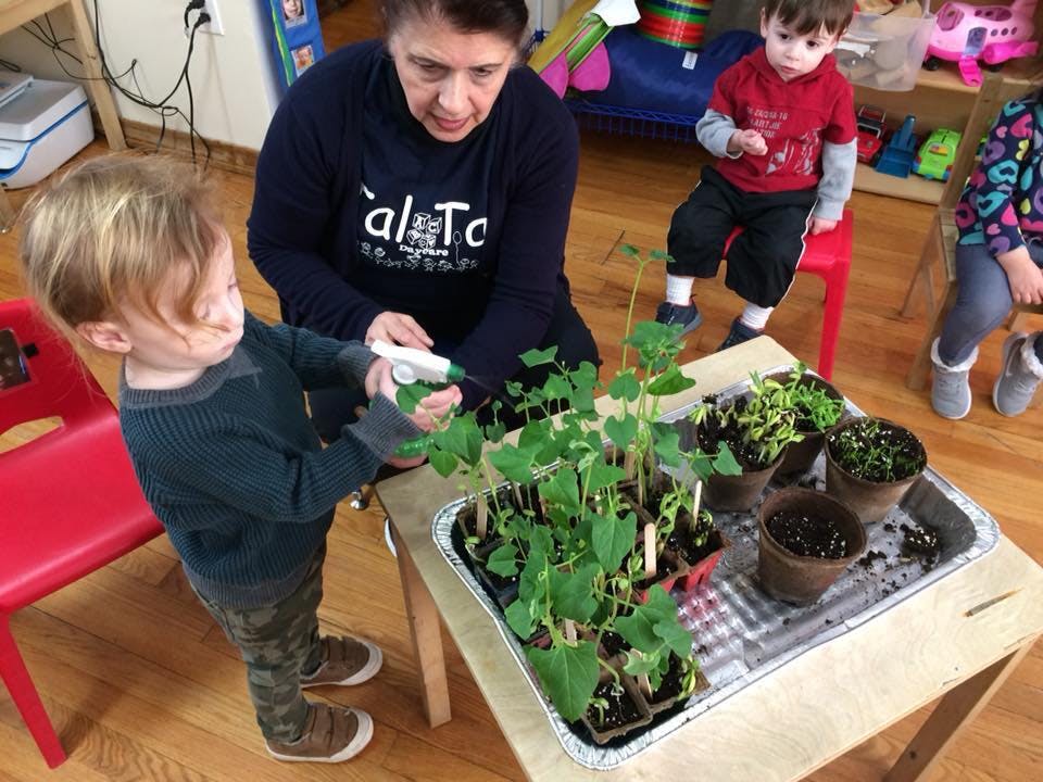 Adult and child watering plants in a classroom