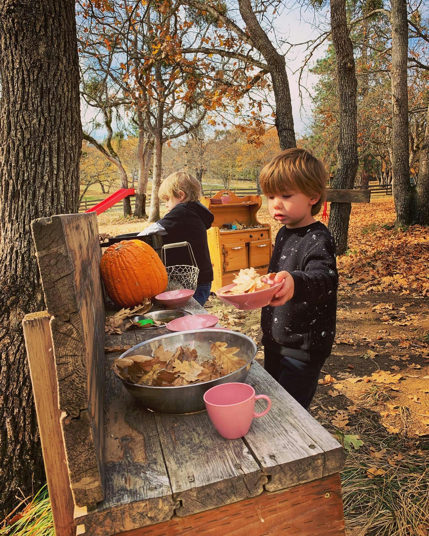 Child holding a bowl of leaves at a wooden play kitchen outdoors