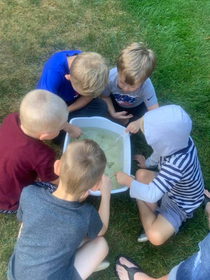 Children gathered around a tub of water on grass