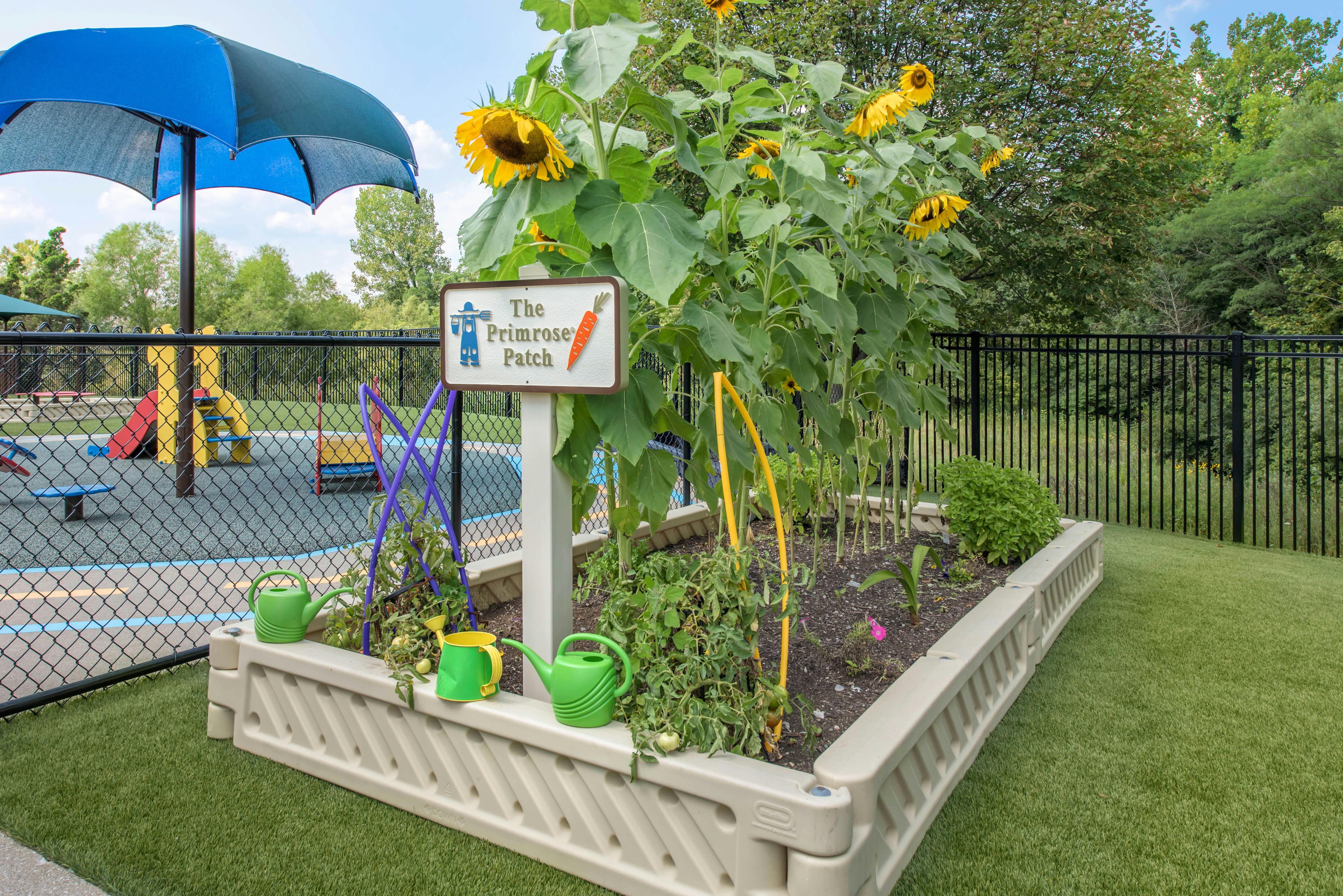 Raised garden with sunflowers and a sign reading "The Primrose Patch" next to a playground