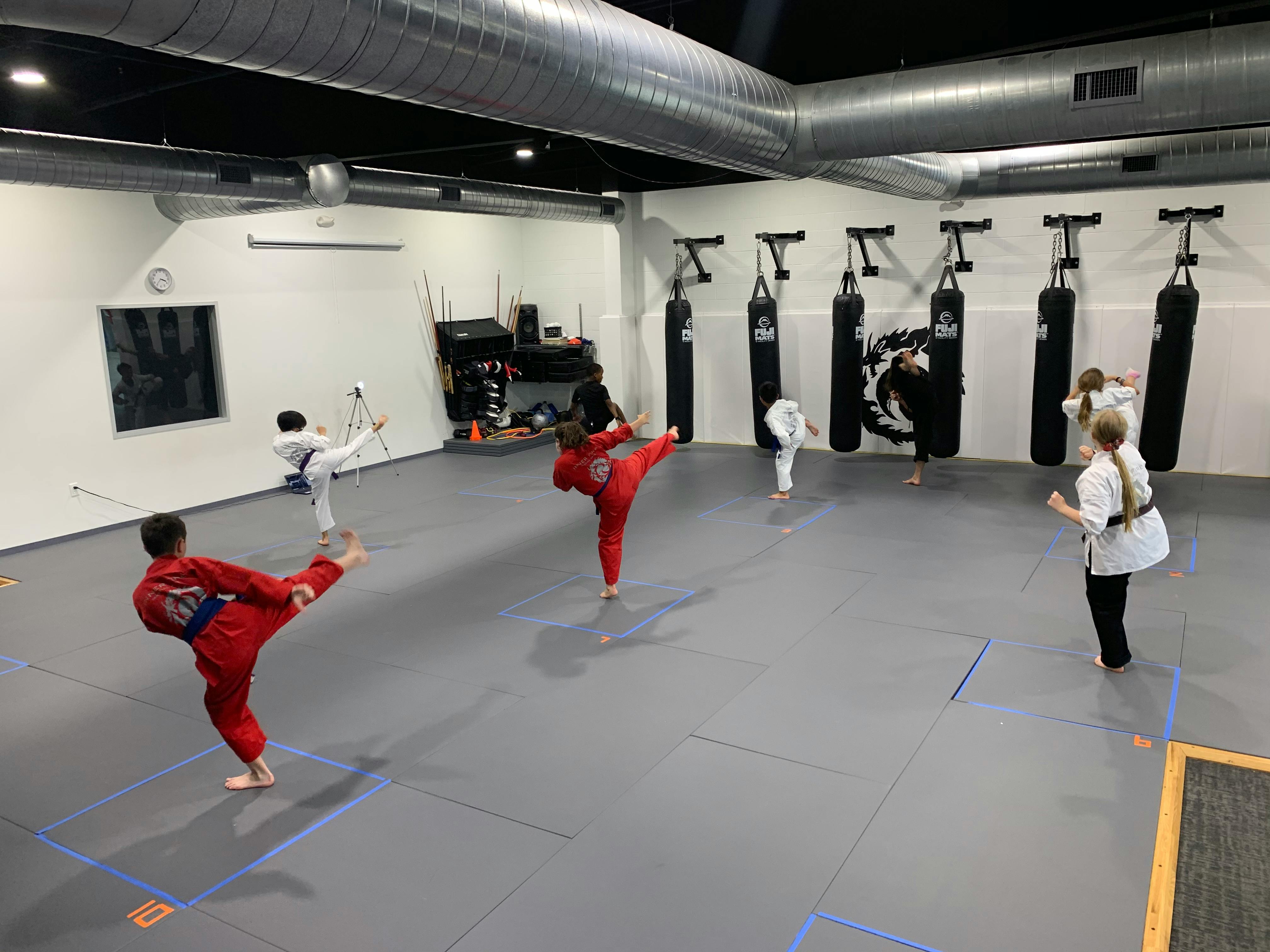 People in a martial arts class practicing kicks