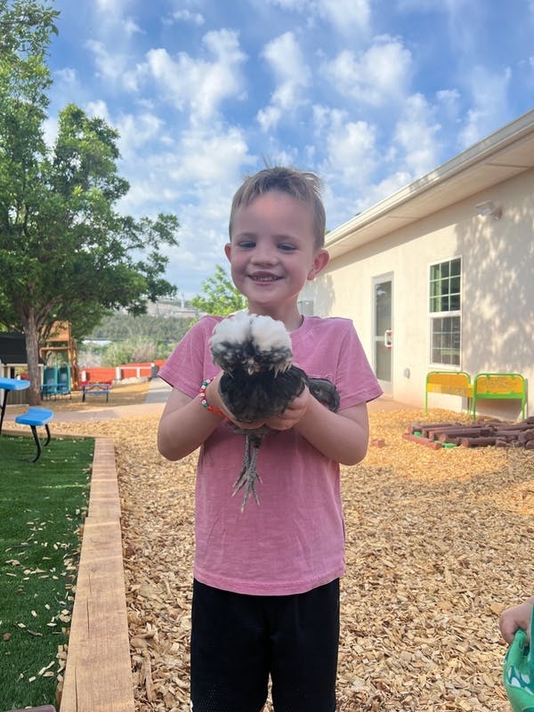 Child holding a chicken with a fluffy white head