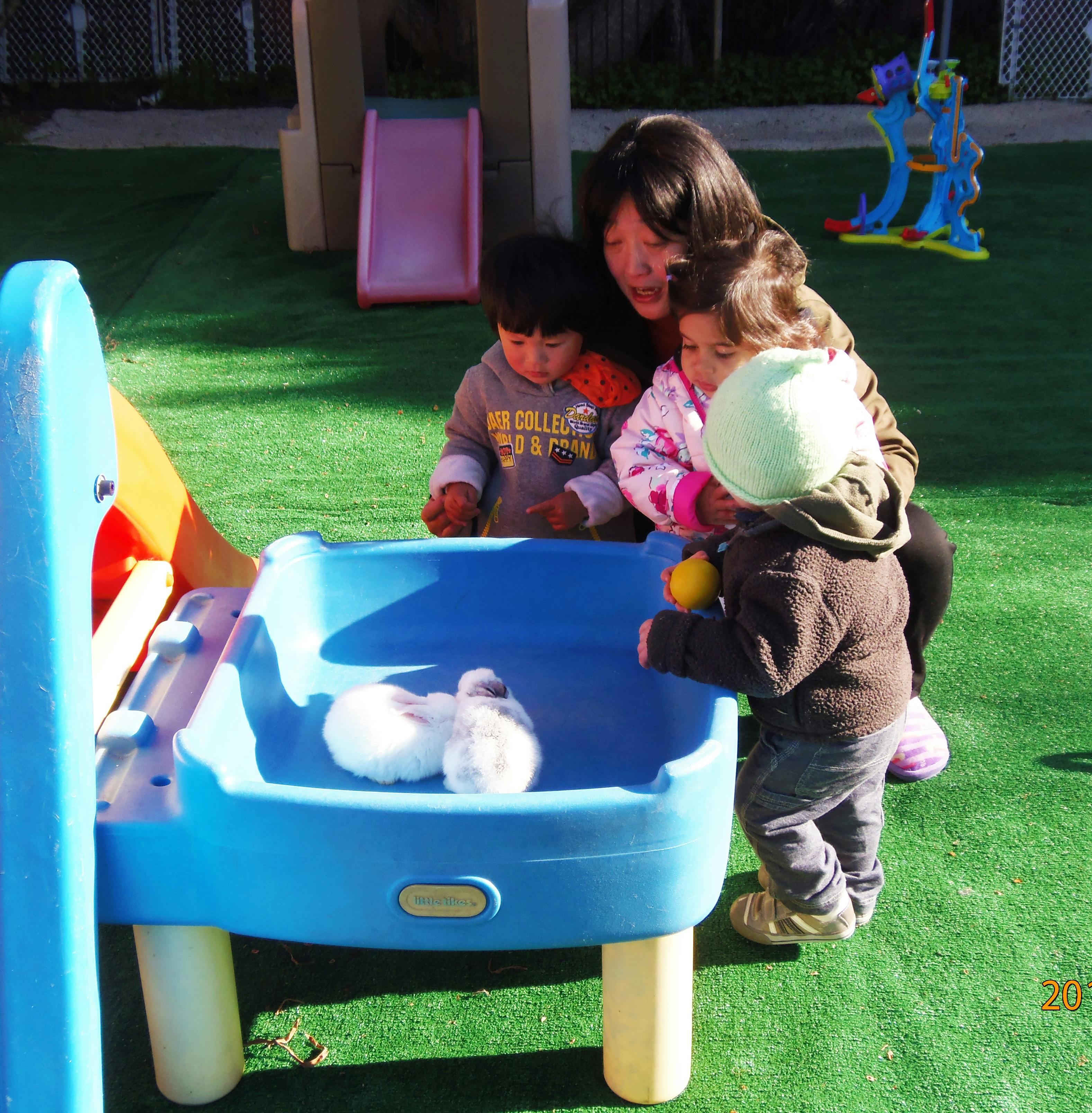 Person and two children looking at rabbits in a blue play table