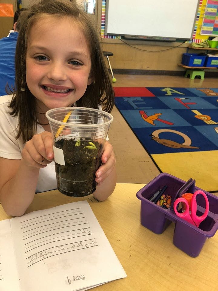 Child holding a clear cup with soil and a sprouting plant