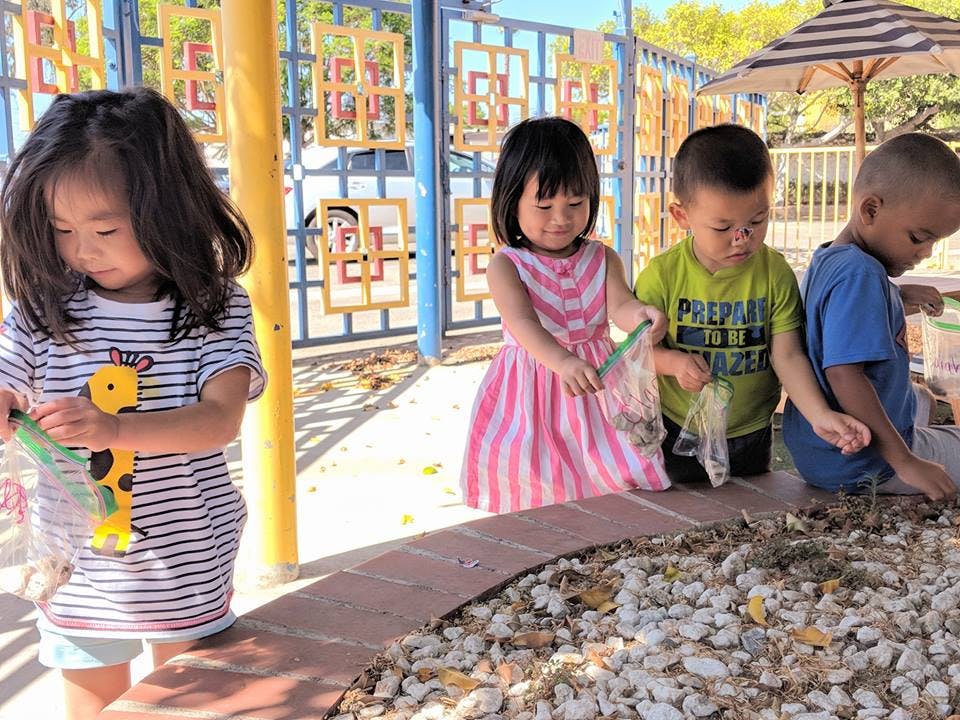 TLC Learning Center (Norwalk) Preschool in Norwalk, CA Winnie