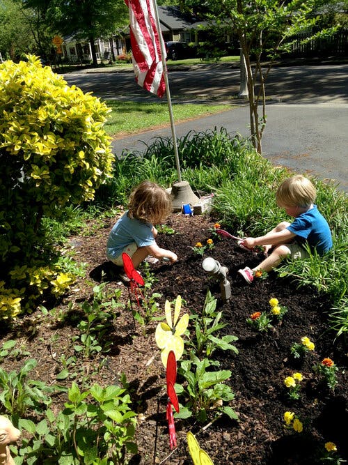 Two children planting flowers in a garden