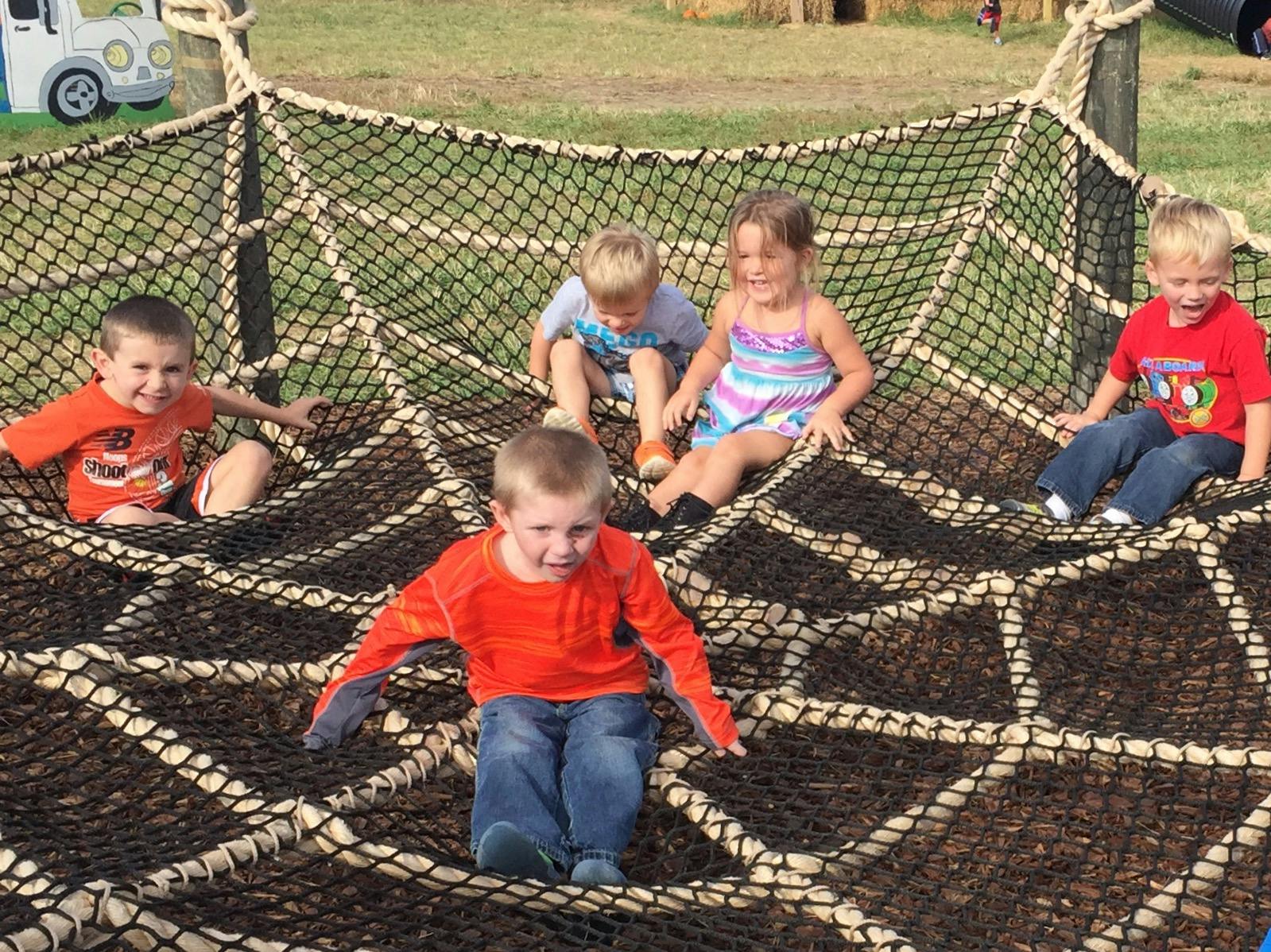 Five children playing on a rope climbing net