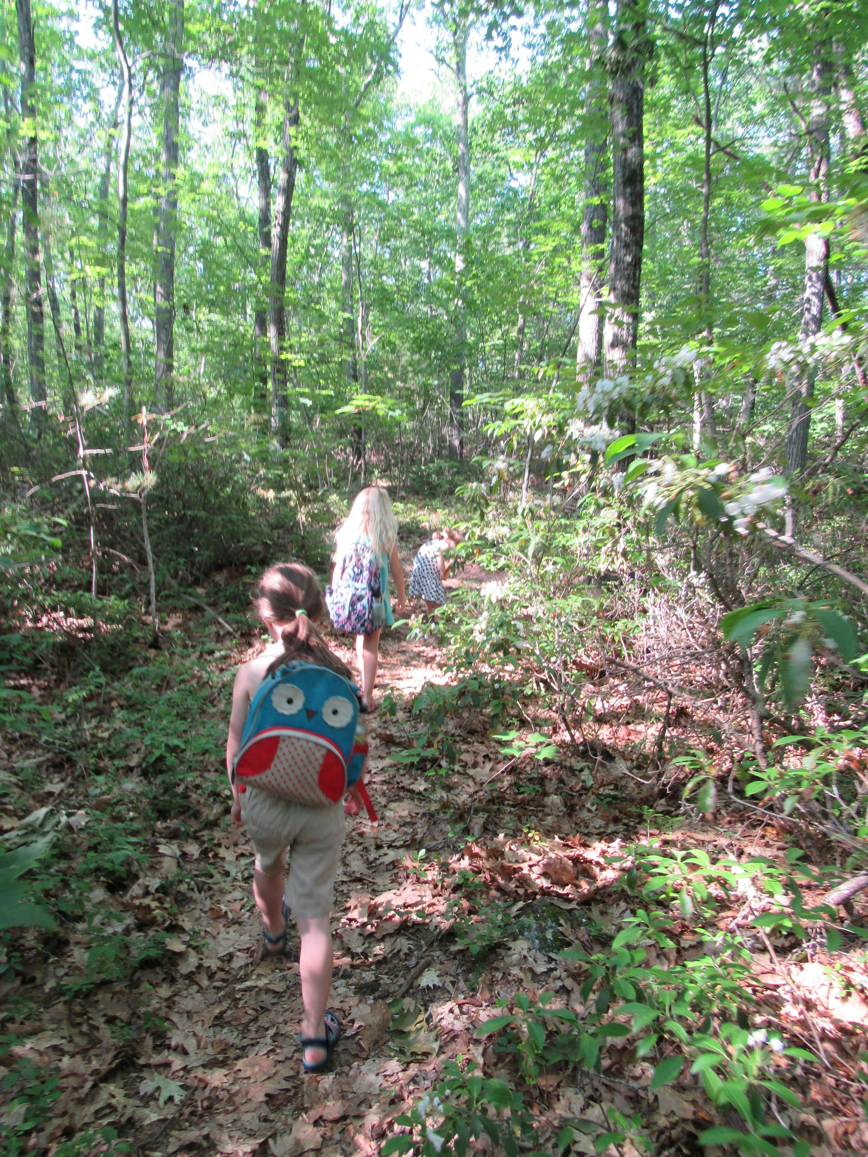 Children walking on a path through a forest