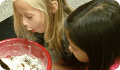 Two children looking into a red bowl