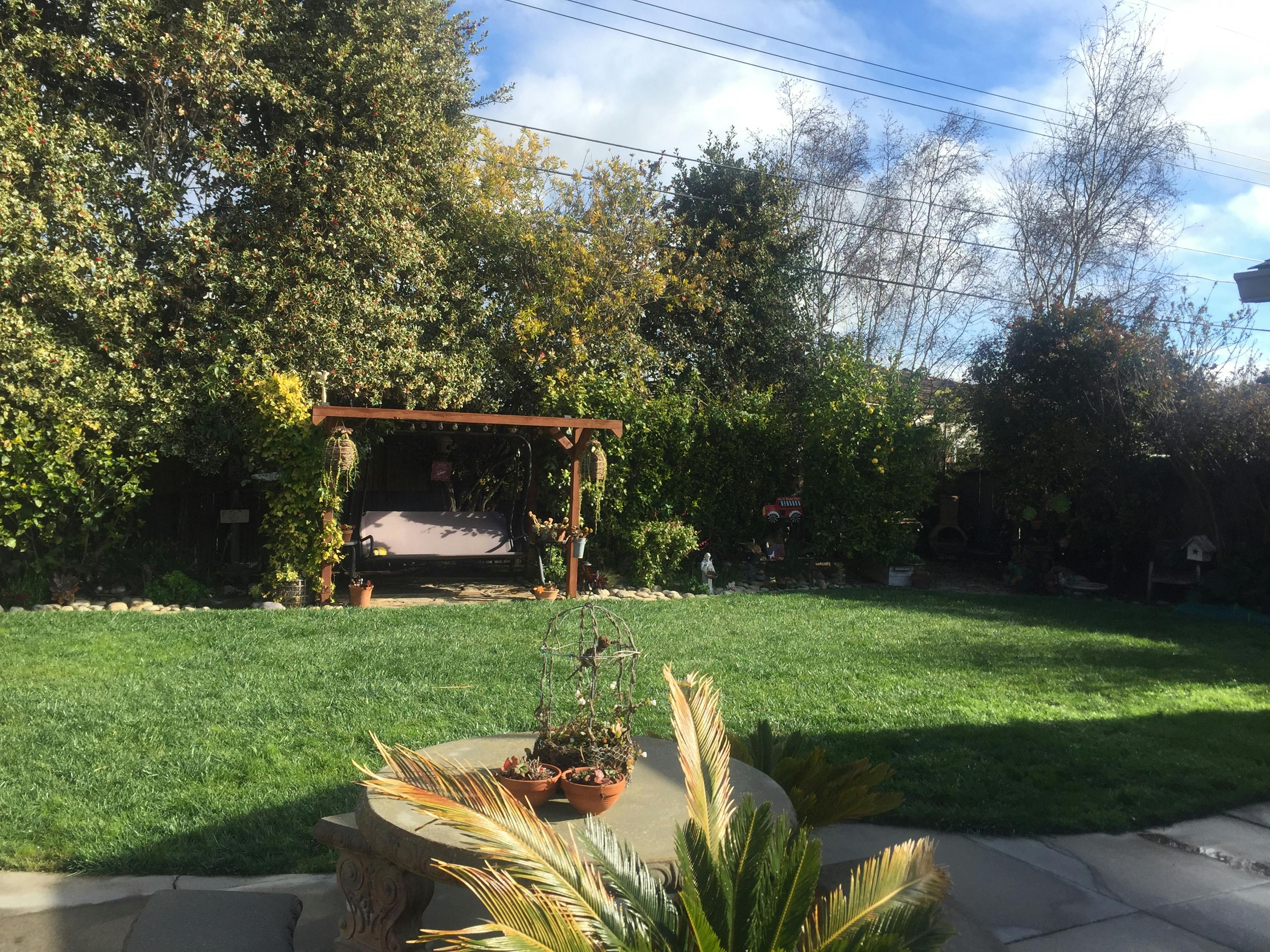 Backyard with green lawn and a wooden swing set under trees