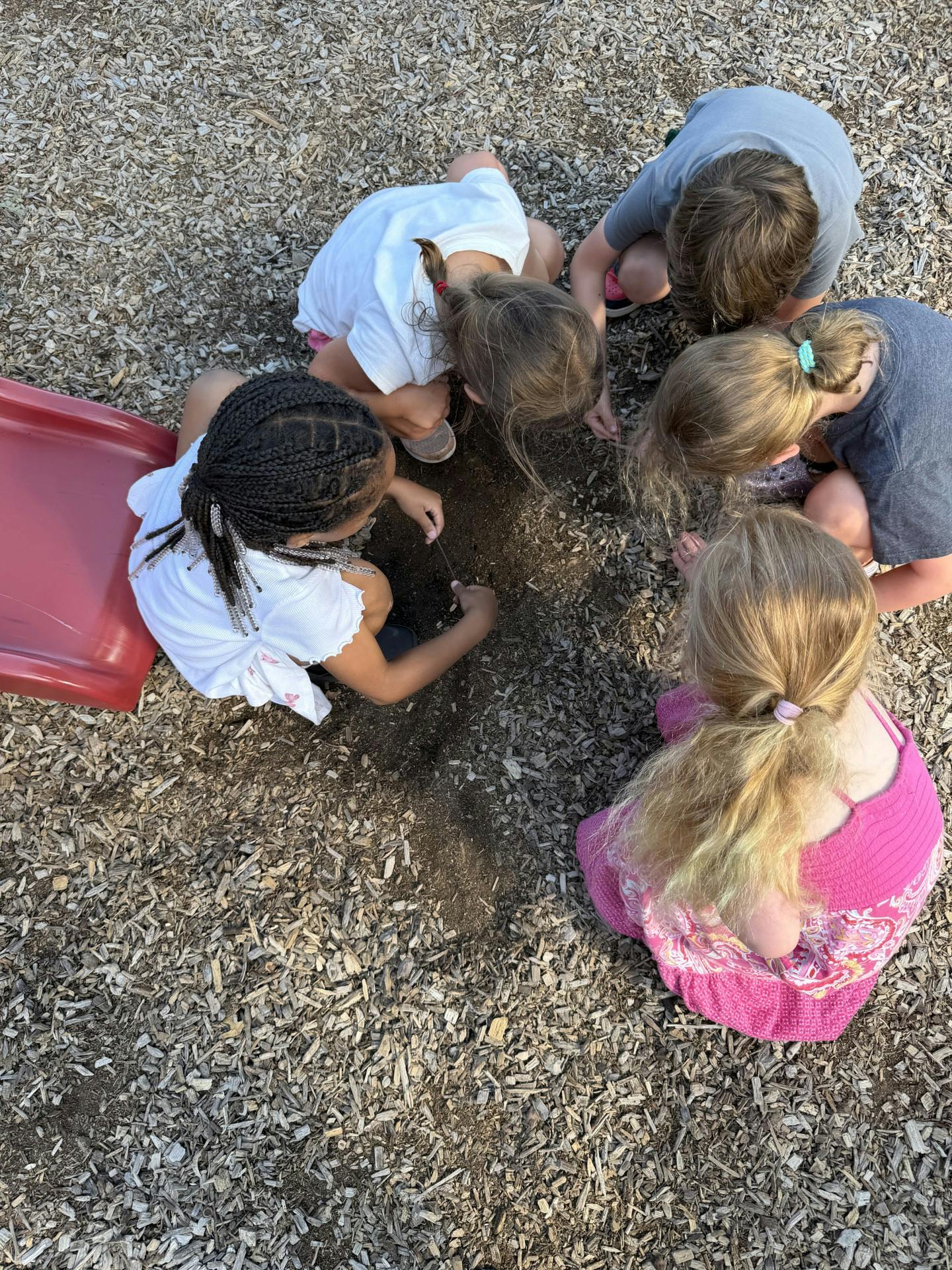 Group of children playing together in the woodchips at a playground