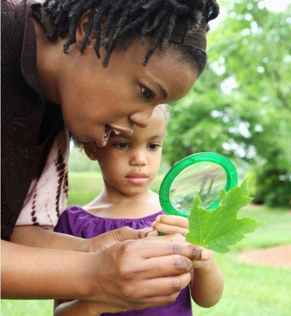 Person and child looking at a leaf through a magnifying glass