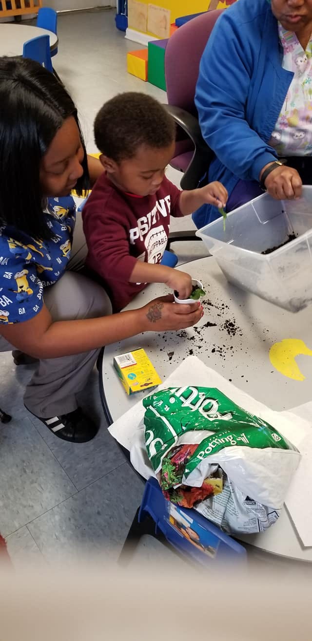 Person and child planting in small cups with potting soil