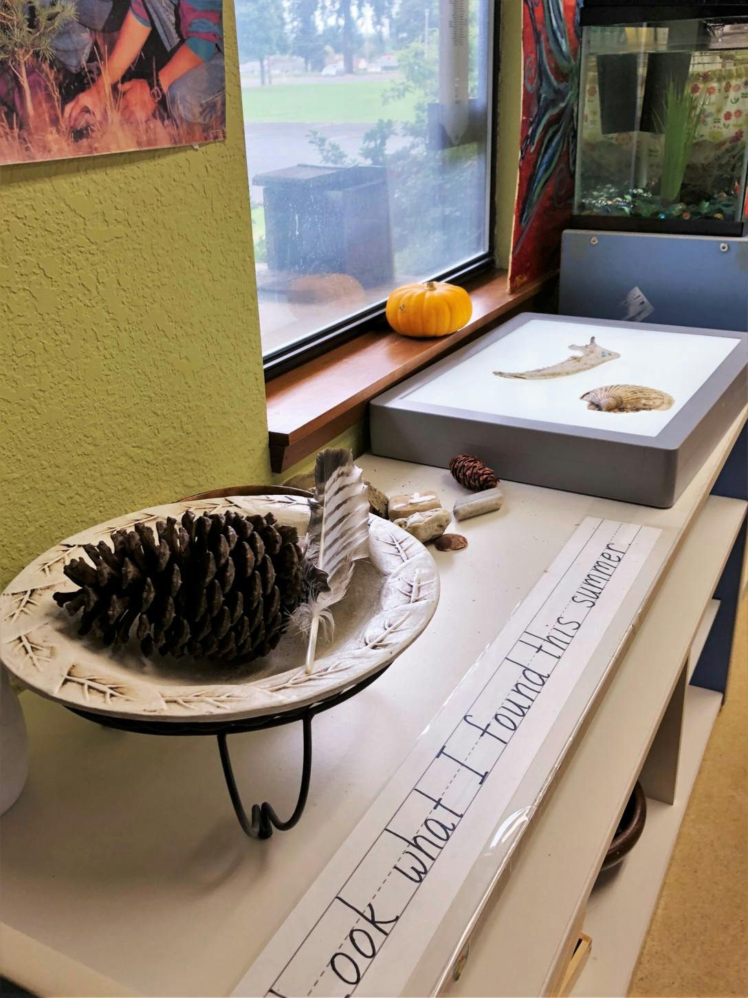 Pinecone and feather on a plate, small pumpkin on a windowsill