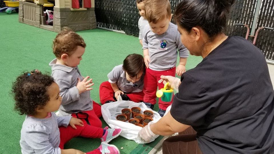 Adult and children looking at items in a tray