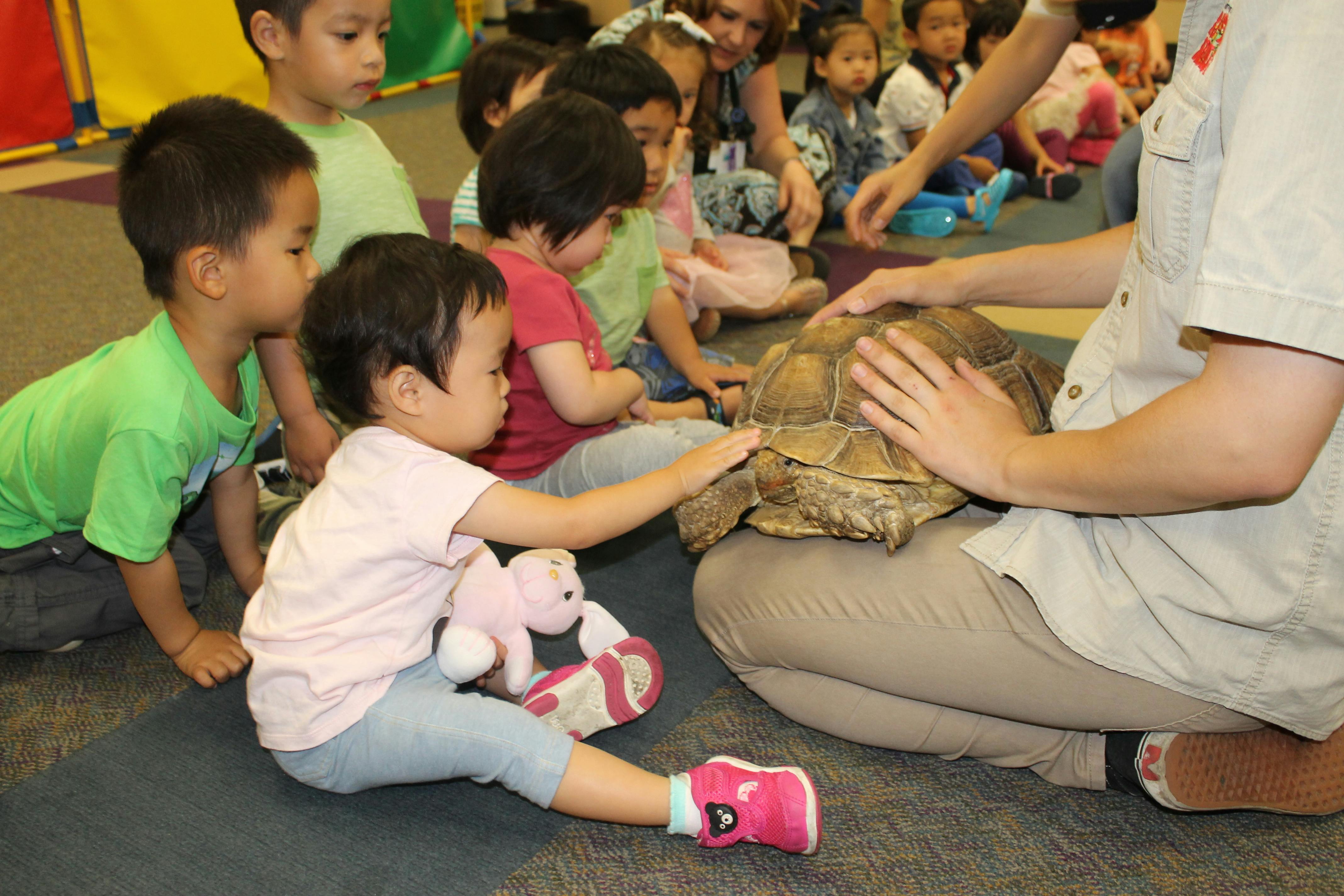 Children and an adult touching a tortoise