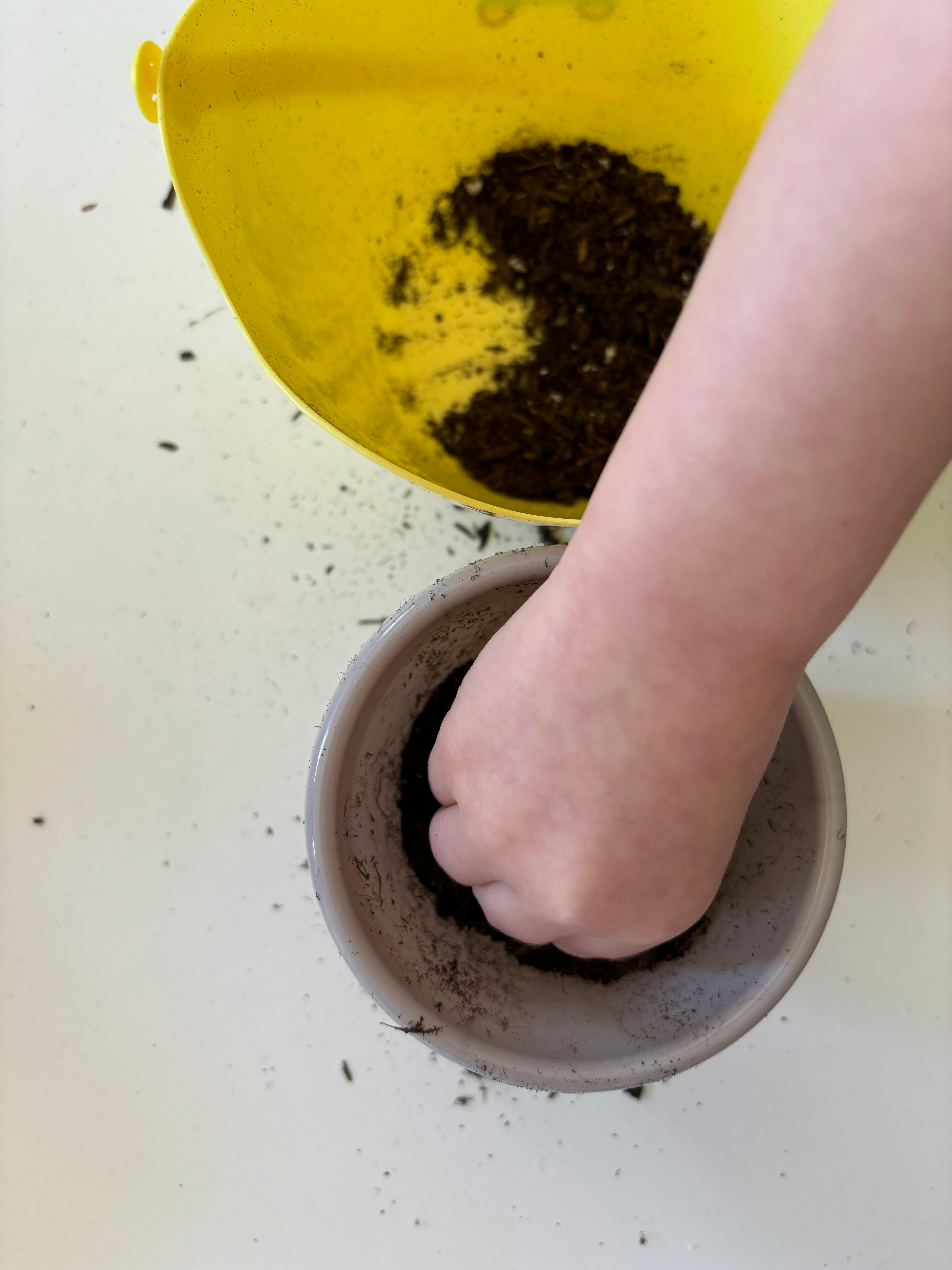 Child's hand pressing soil into a small pot