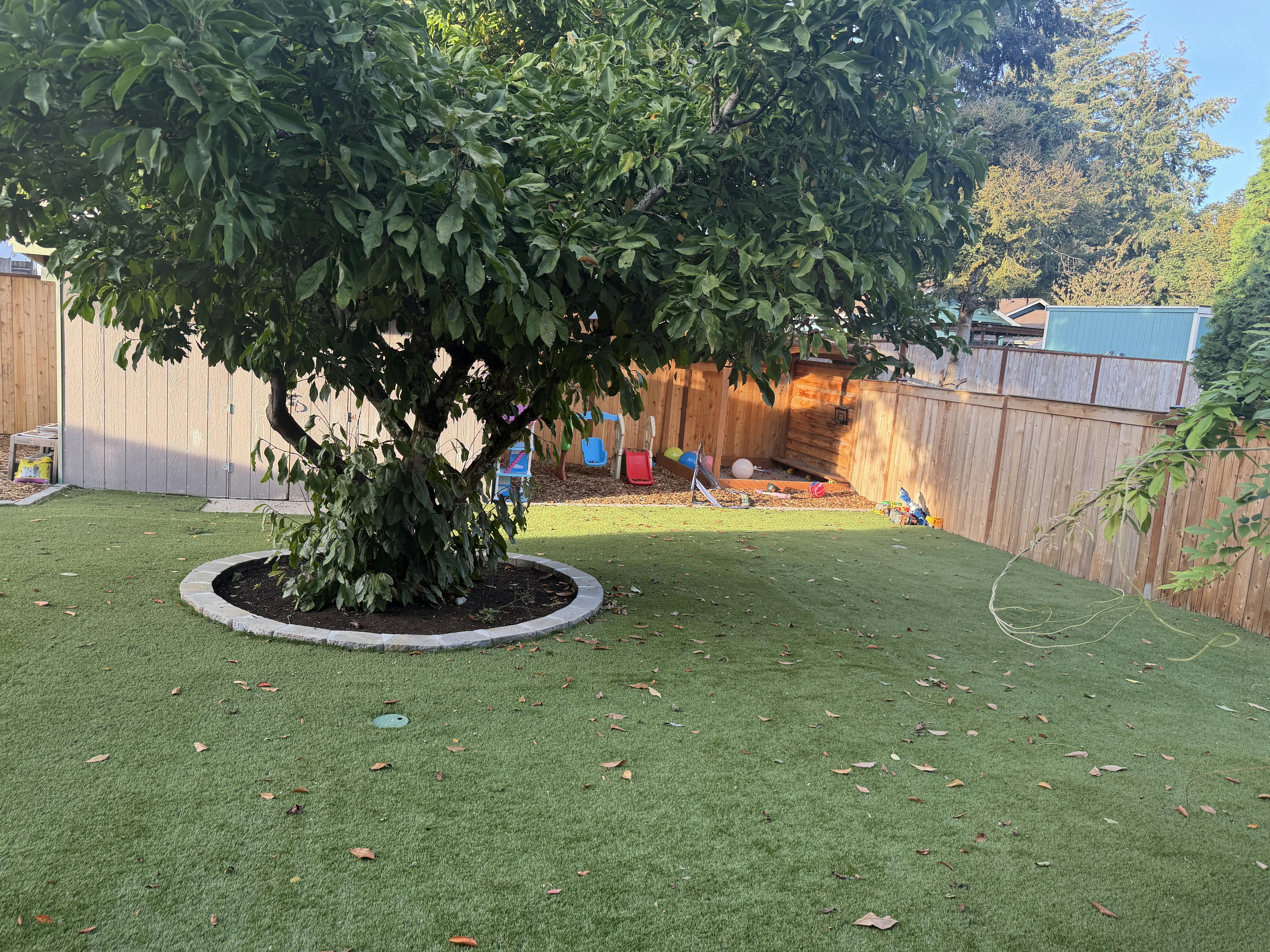 Large tree in a backyard with artificial grass and a playground area