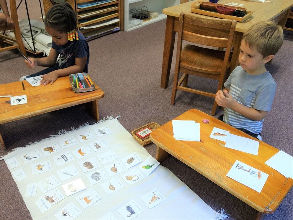 Counterpane Montessori School Preschool in Fayetteville, GA Winnie