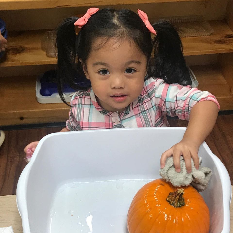 Child cleaning a pumpkin in a white bin