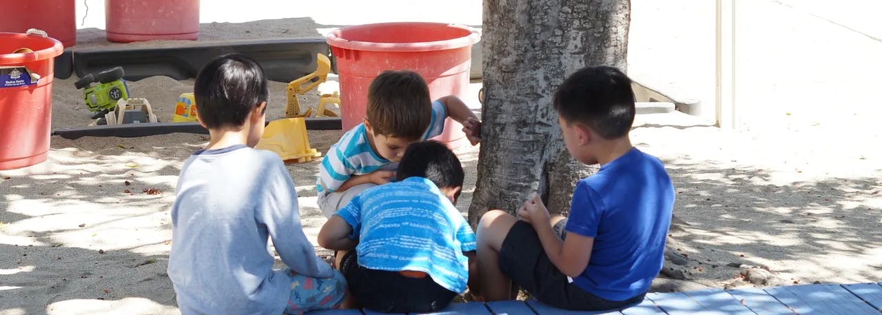 Four children playing together outdoors