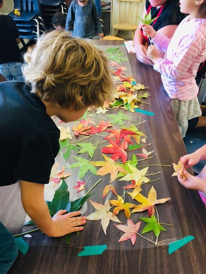 Child arranging colorful leaves on a table
