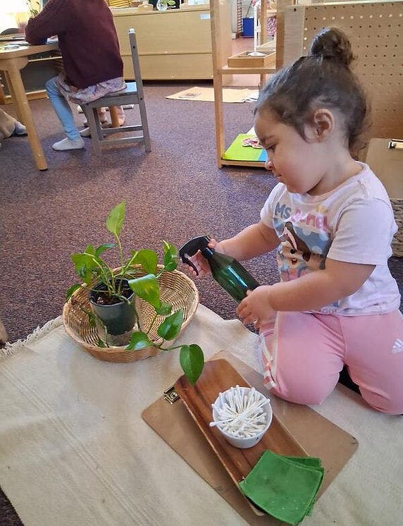 Child kneeling and spraying water on a potted plant with a spray bottle