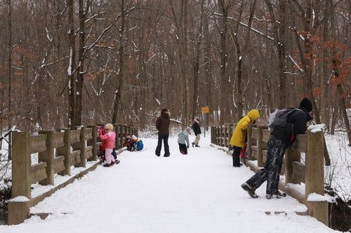 People on a snow-covered bridge in a forest