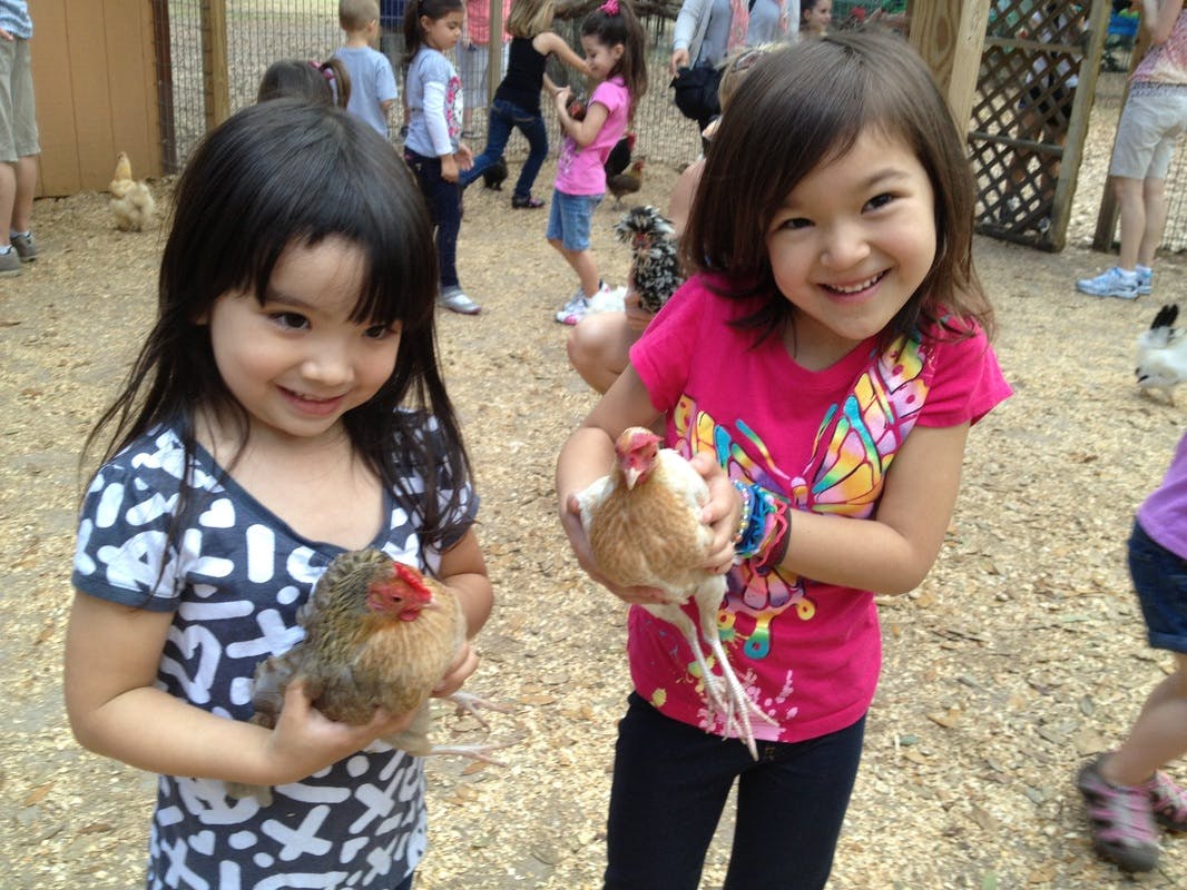 Two children holding chickens