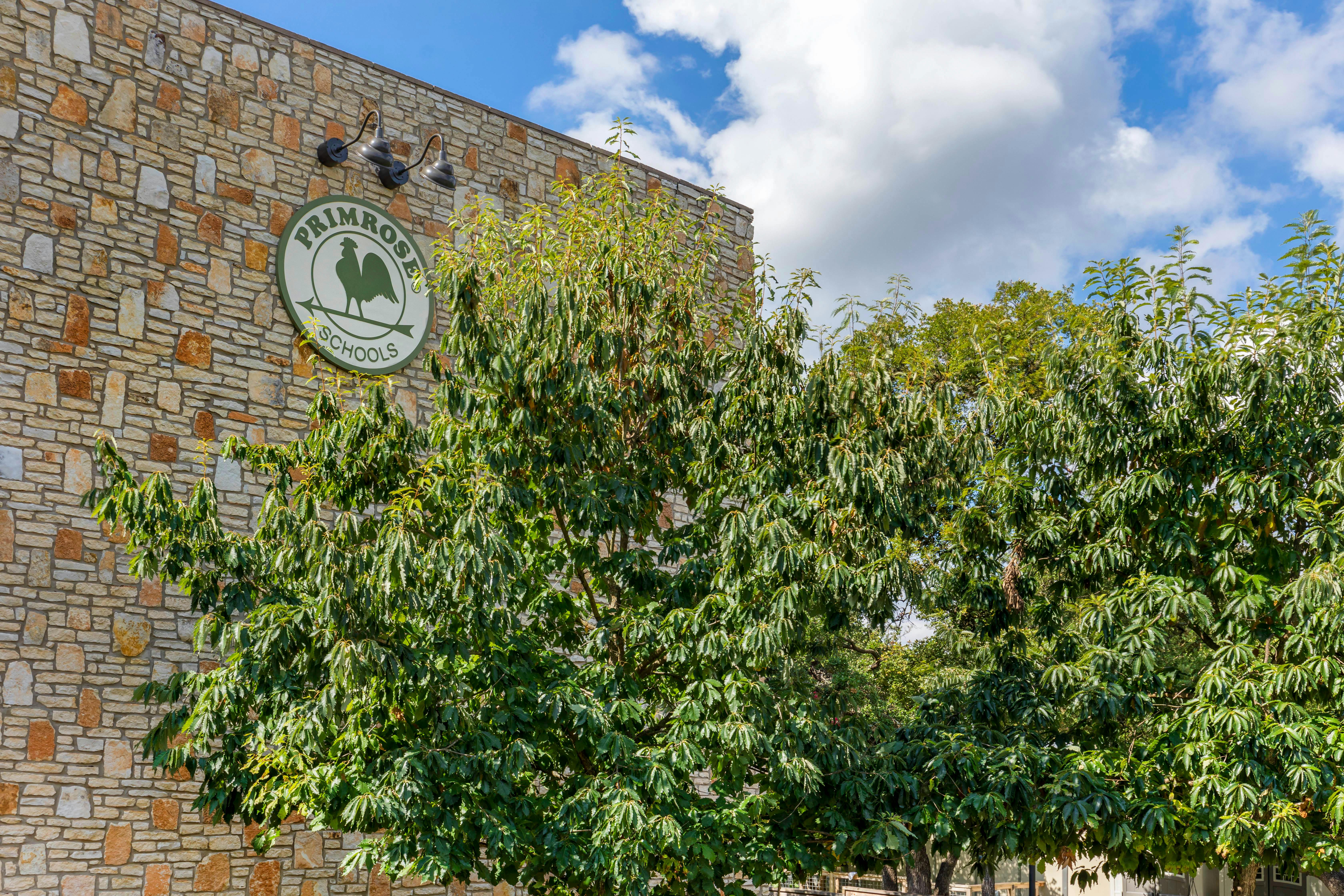 Primrose Schools sign on a stone building, partially obscured by trees