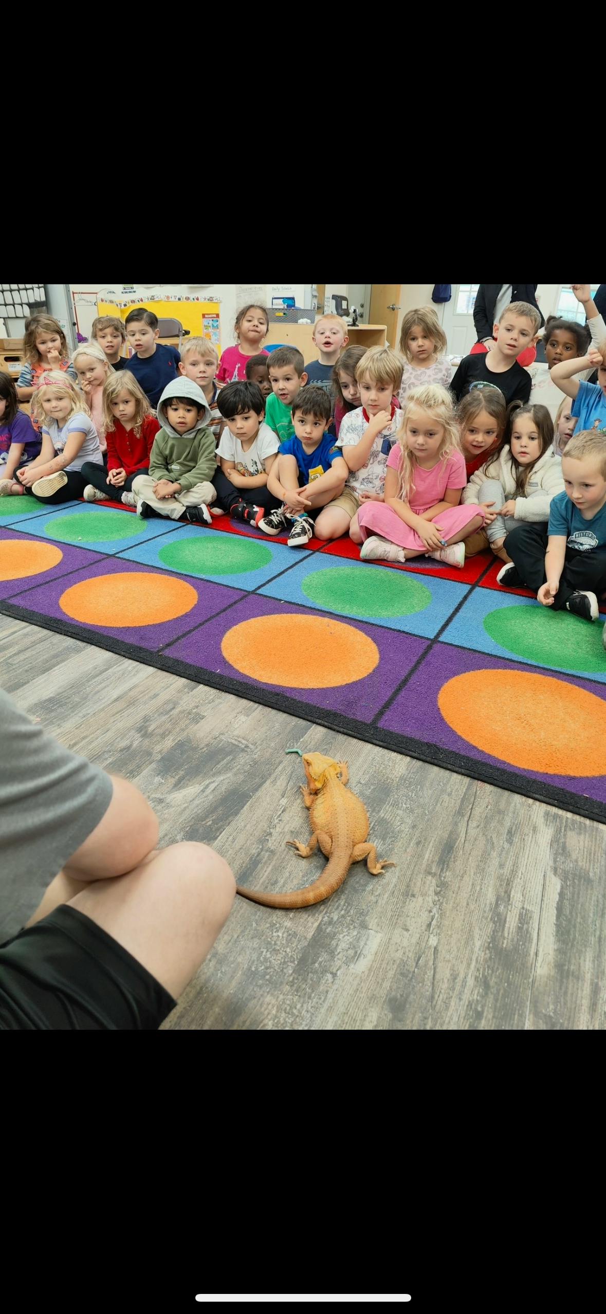 Children sitting on a rug watching a lizard on the floor