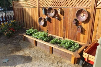 Raised garden bed with plants next to a wooden fence