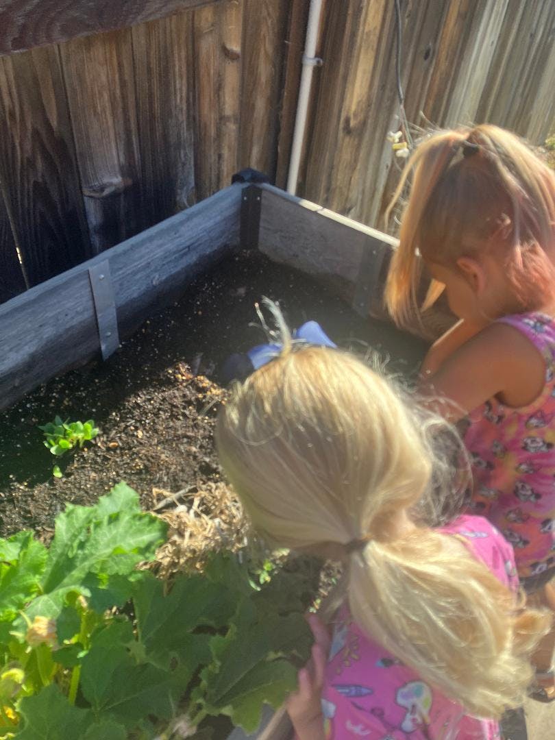 Two children looking into a raised garden bed