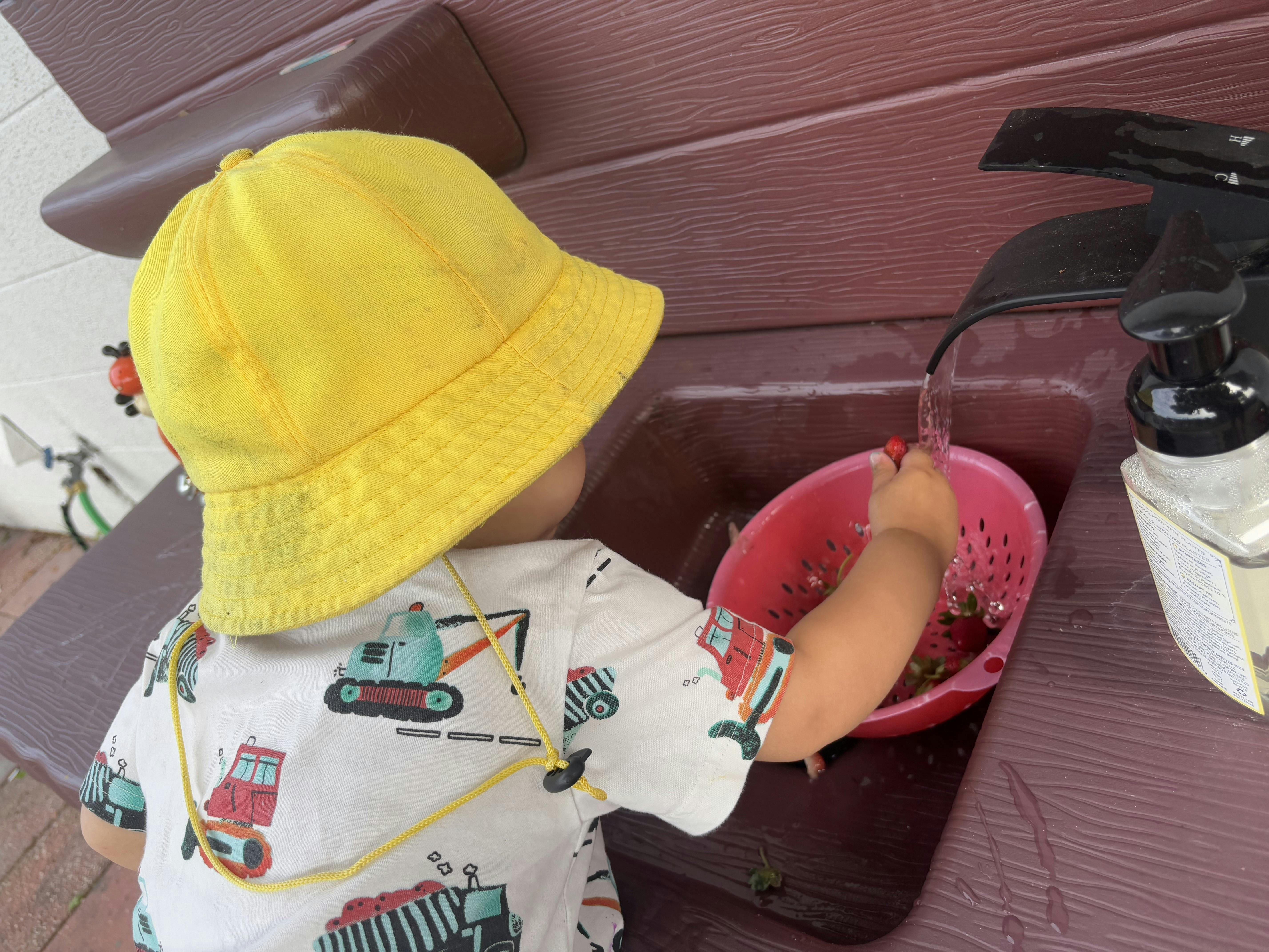 Child in a yellow hat washing strawberries in a pink colander
