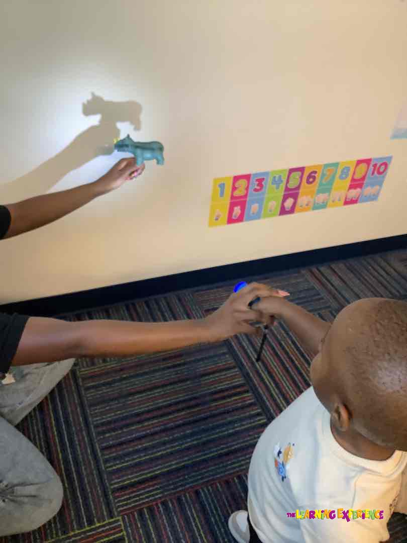 Person holding a toy animal to create a shadow on a wall with a child