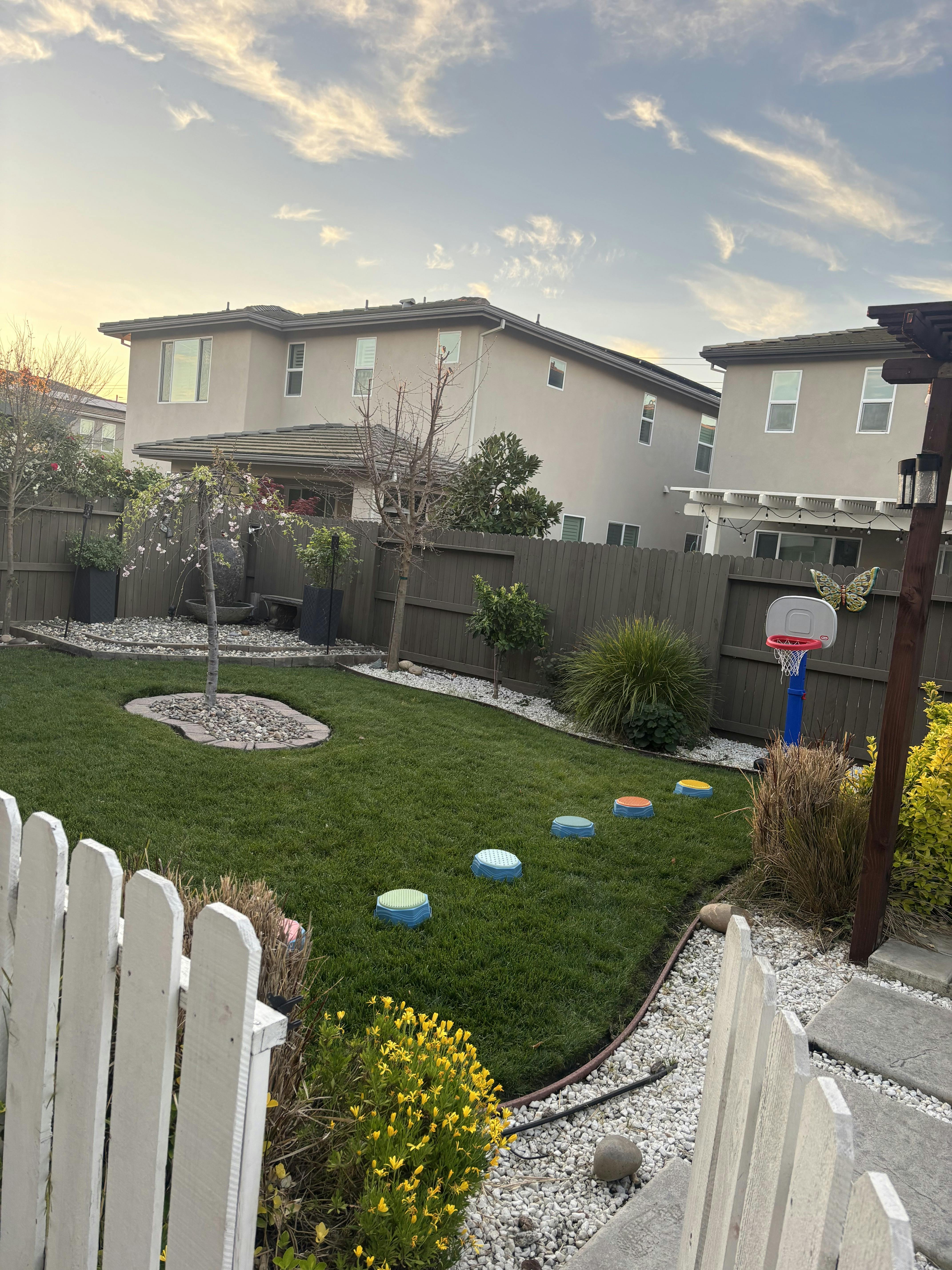 Backyard with green grass, a small tree, colorful stepping stones, and houses