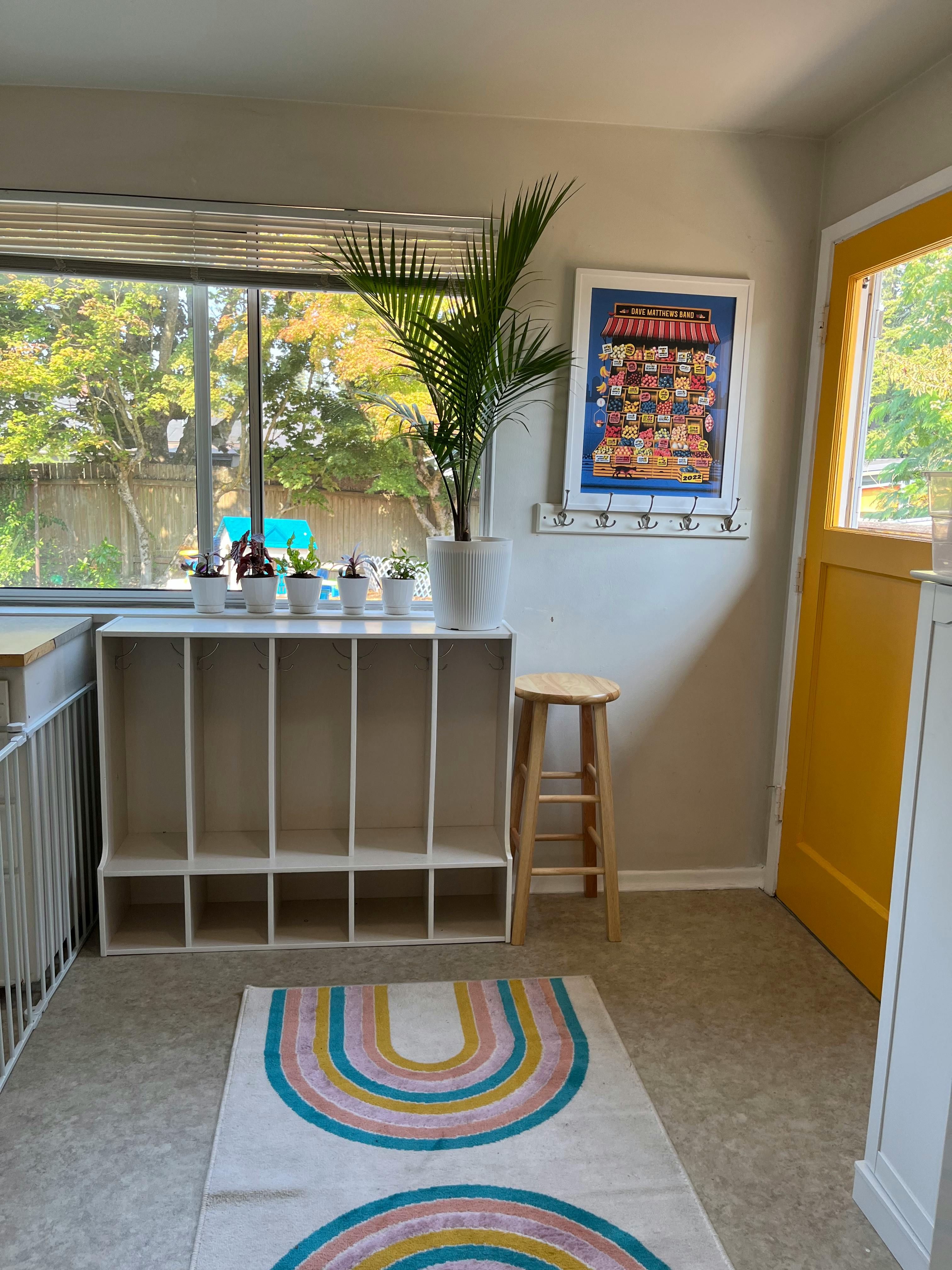 Room with a window, plant, storage cubbies, and a rainbow rug
