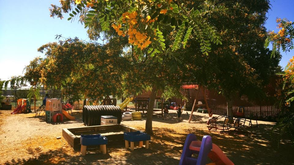 Outdoor playground with slides, swings, and sandpit under trees