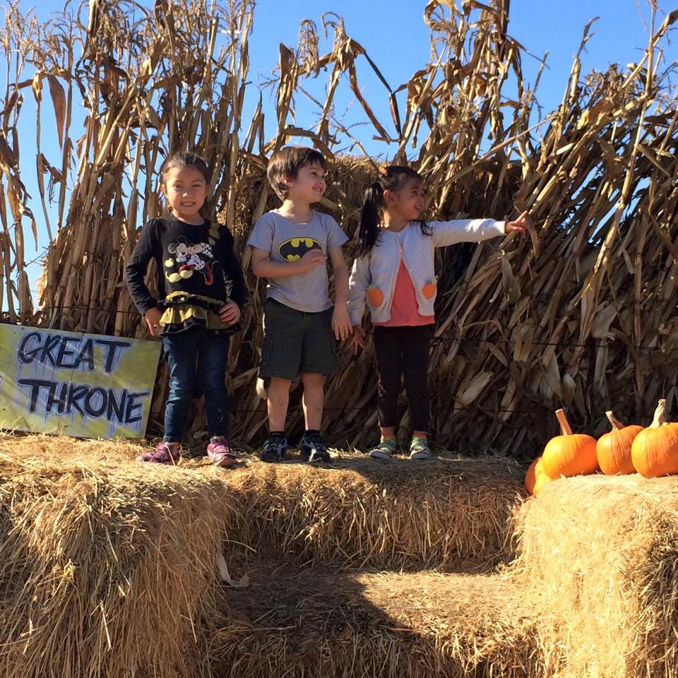 Three children standing on hay bales in front of corn stalks, with pumpkins