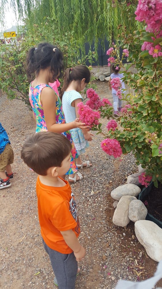 Children looking at pink flowers on a bush