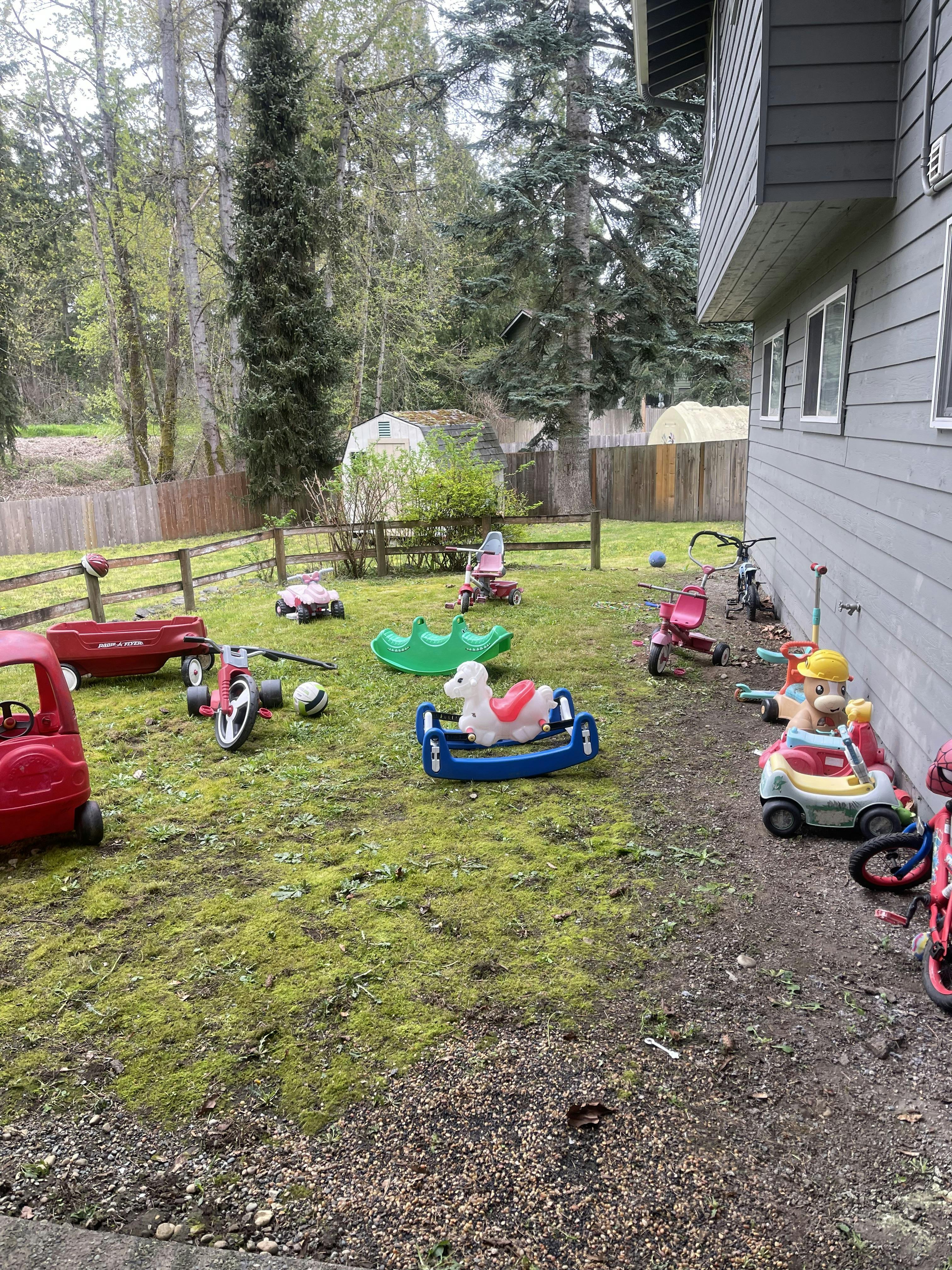 Childhood play items scattered on a grassy lawn next to a house