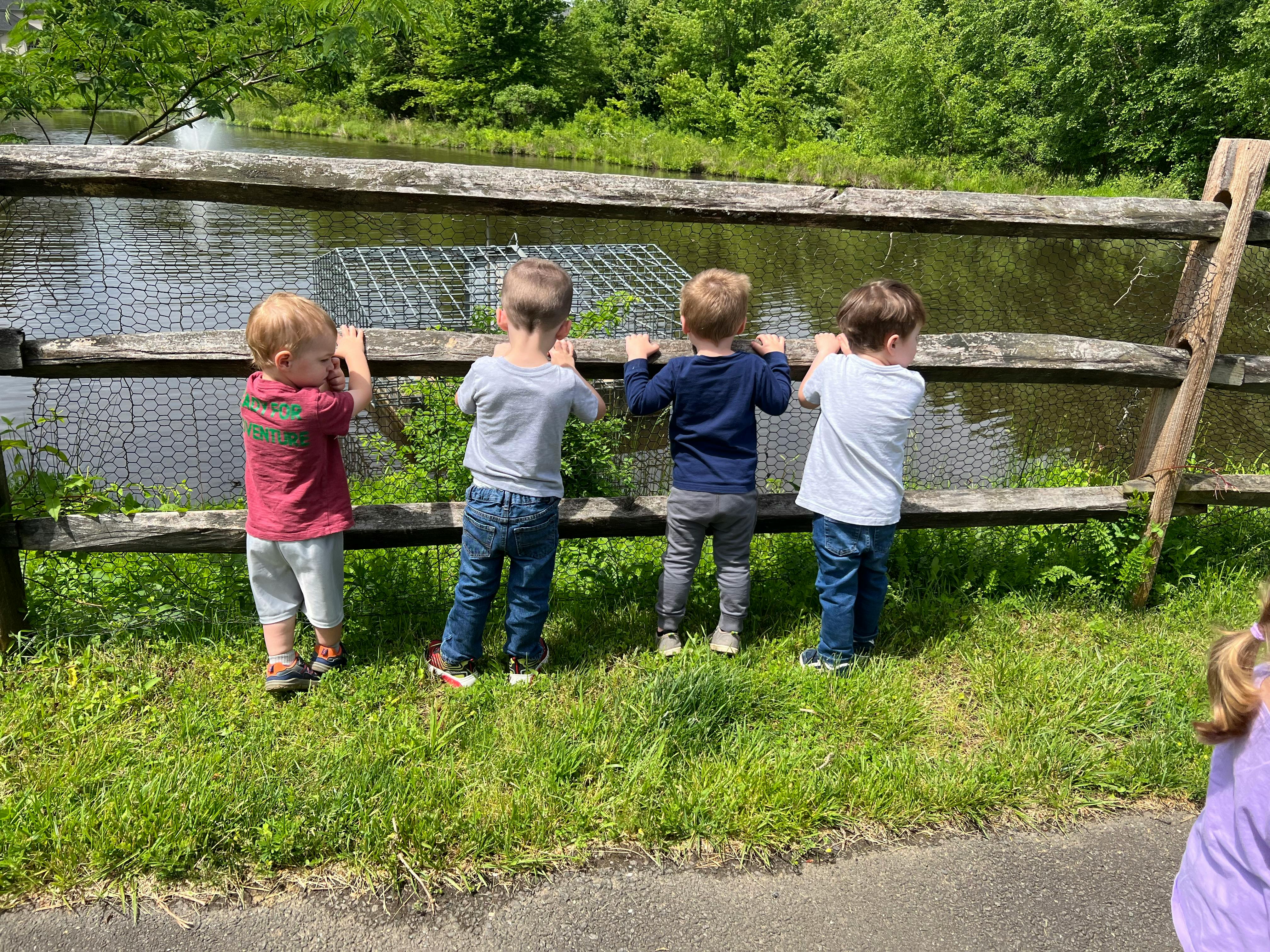 Four children looking over a wooden fence at a body of water