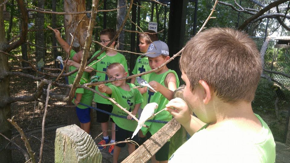 Children in green shirts interacting with birds in an outdoor aviary