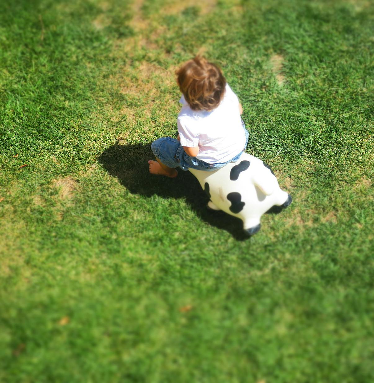 Child sitting on a cow-shaped toy on grass