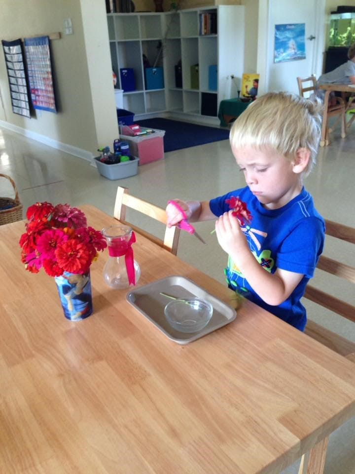 Child cutting a flower with scissors at a table